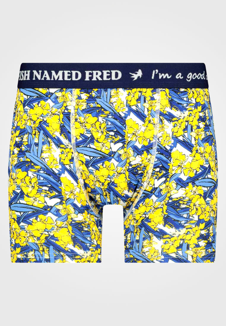 A Fish Named Fred boxer shorts: underpants that make the world